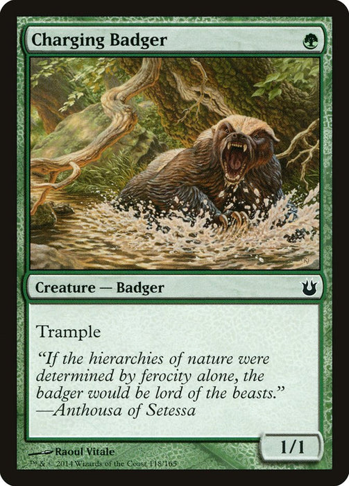 Charging Badger  (Foil)