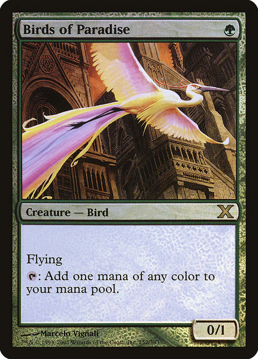 Birds of Paradise  (Foil)