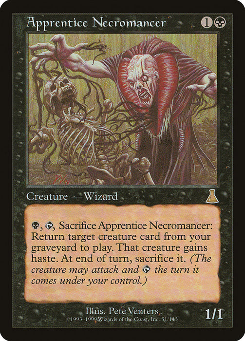 Apprentice Necromancer  (Foil)