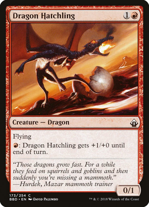 Dragon Hatchling  (Foil)