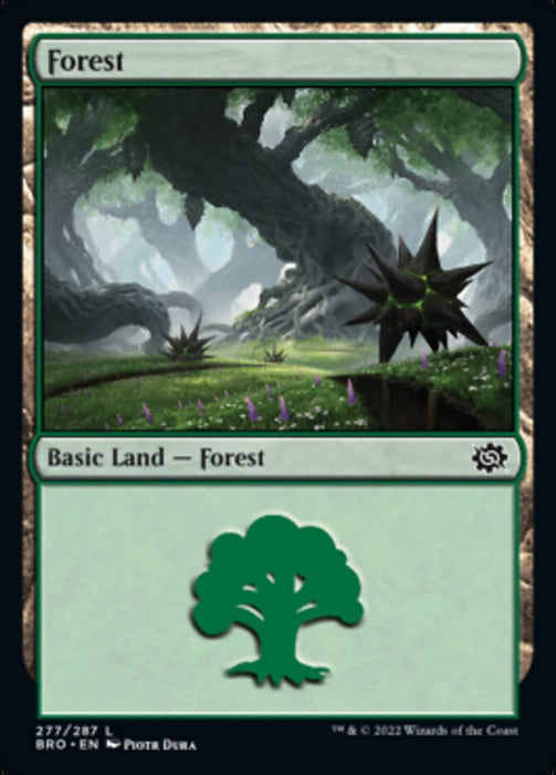 Forest (Foil)