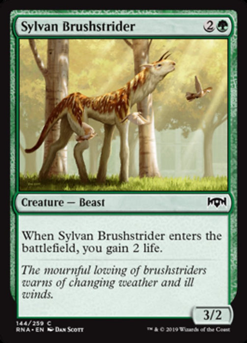 Sylvan Brushstrider