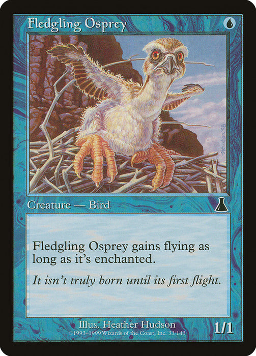 Fledgling Osprey  (Foil)