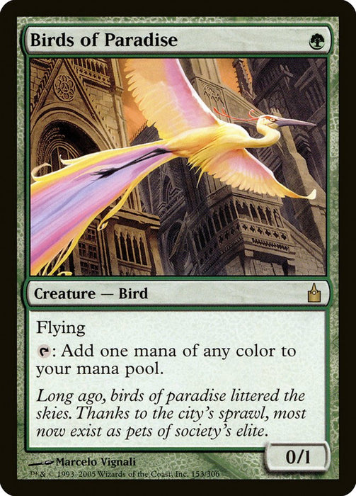 Birds of Paradise  (Foil)