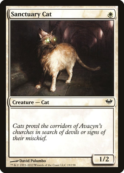 Sanctuary Cat  (Foil)