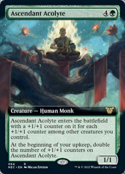 Ascendant Acolyte  - Extended Art