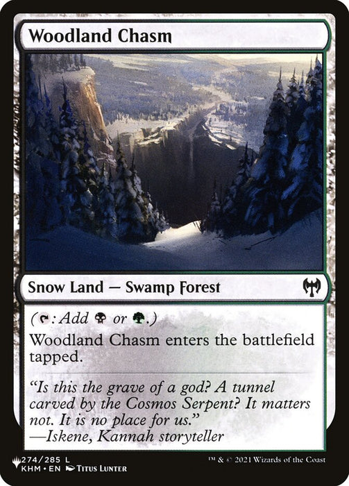 Woodland Chasm - Snow