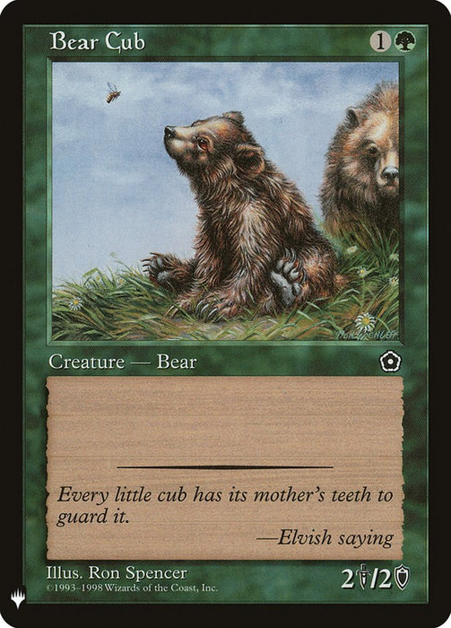 Bear Cub - Retro Frame