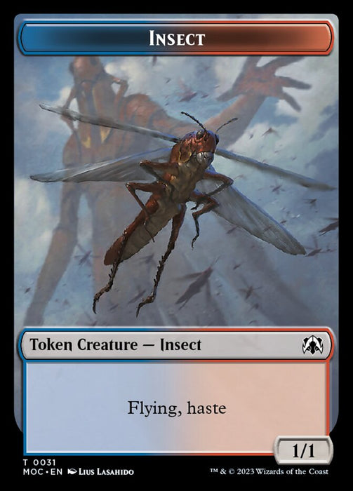 Insect