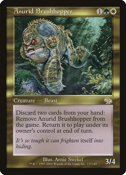 Anurid Brushhopper  (Foil)
