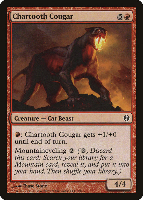 Chartooth Cougar