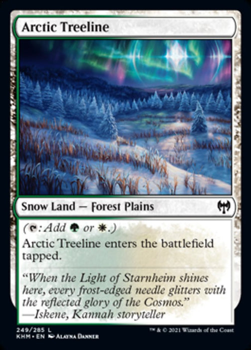 Arctic Treeline  - Snow