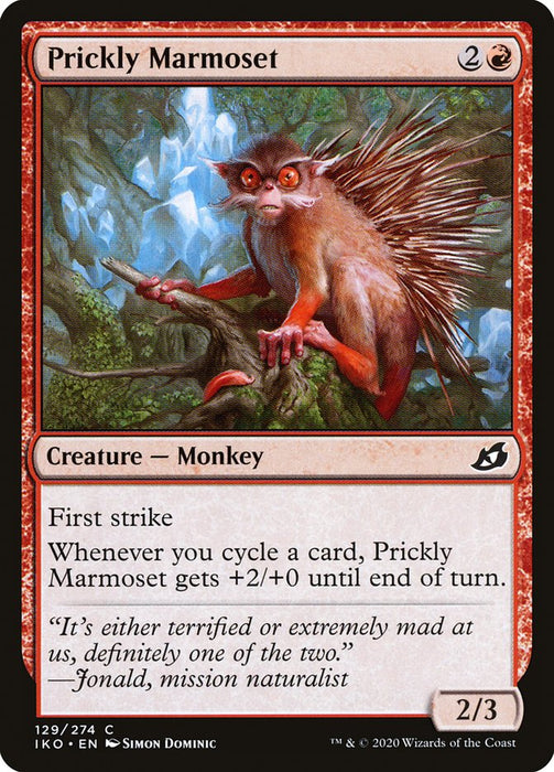 Prickly Marmoset  (Foil)
