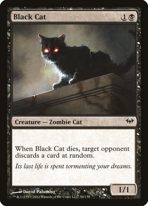 Black Cat  (Foil)
