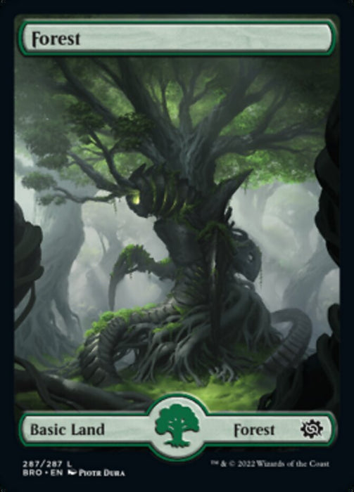 Forest - Full Art
