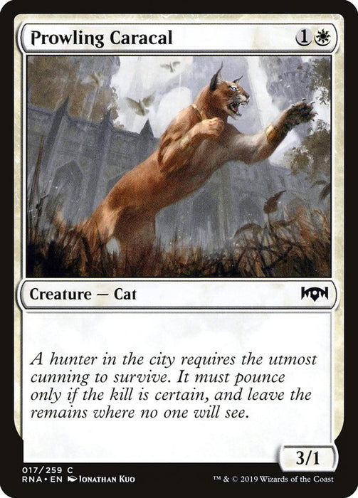 Prowling Caracal  (Foil)
