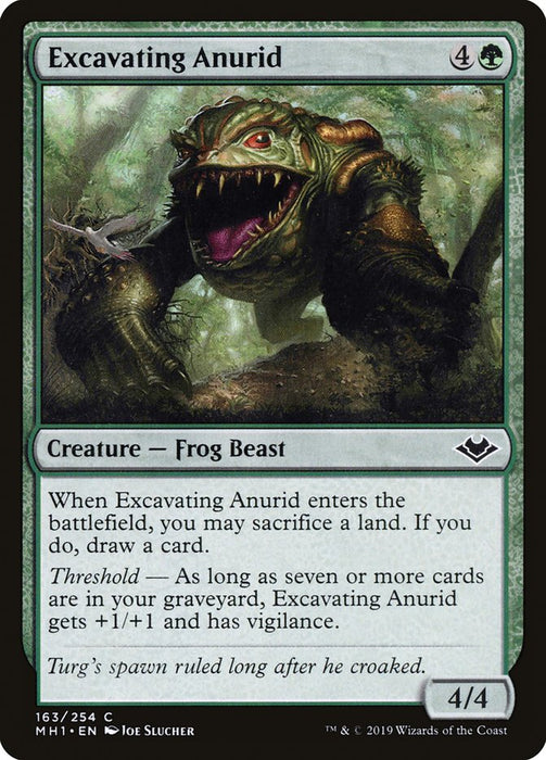 Excavating Anurid  (Foil)