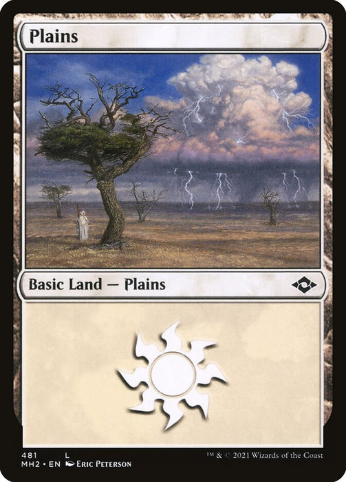 Plains  (Foil)