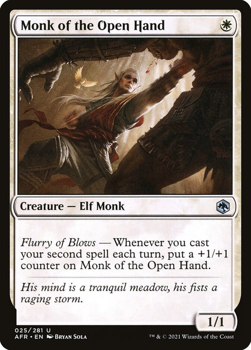 Monk of the Open Hand  (Foil)