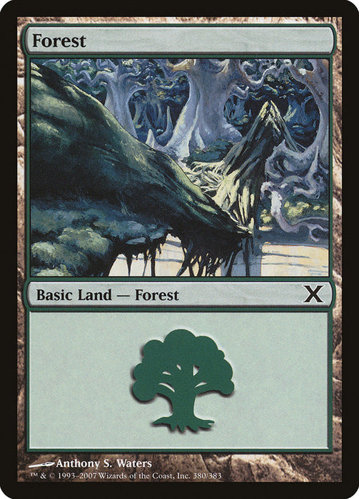 Forest  (Foil)