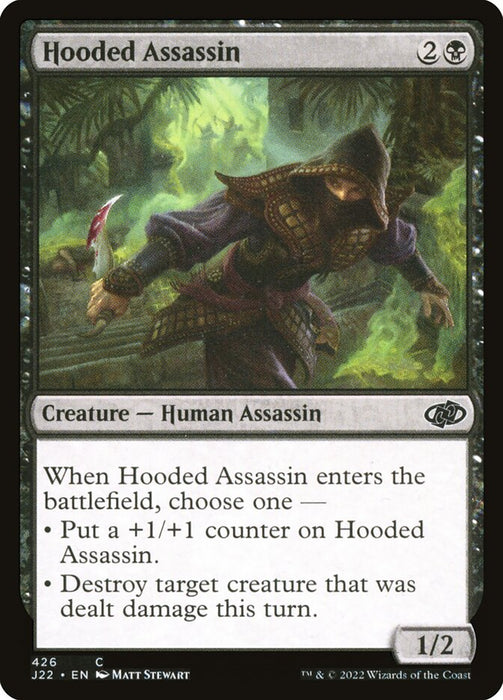 Hooded Assassin