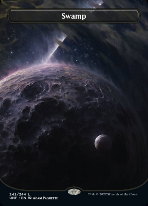 Swamp - Borderless - Full Art - Inverted