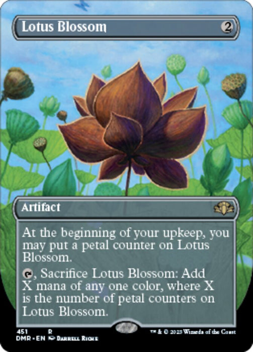 Lotus Blossom - Borderless