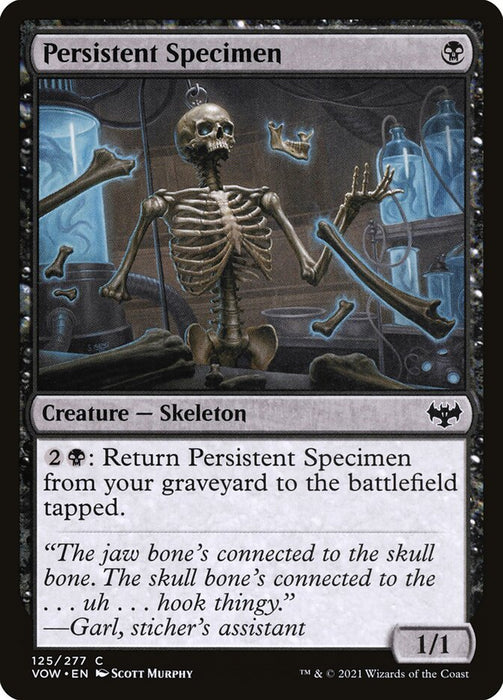Persistent Specimen  (Foil)