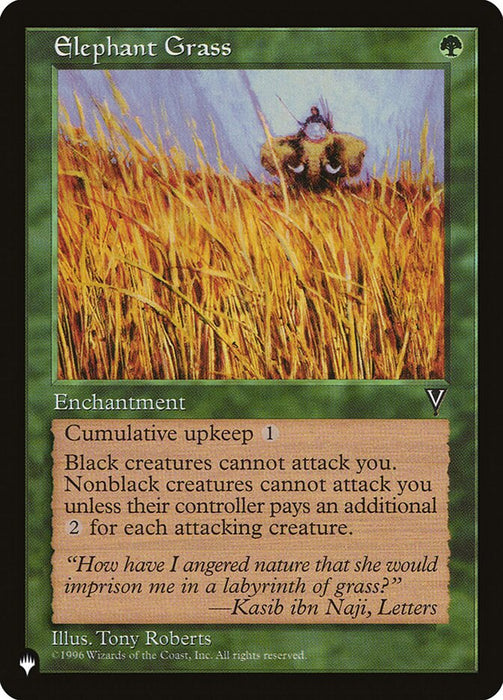 Elephant Grass - Retro Frame